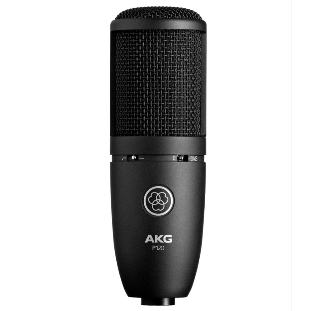 AKG Acoustics Black Computer Microphone